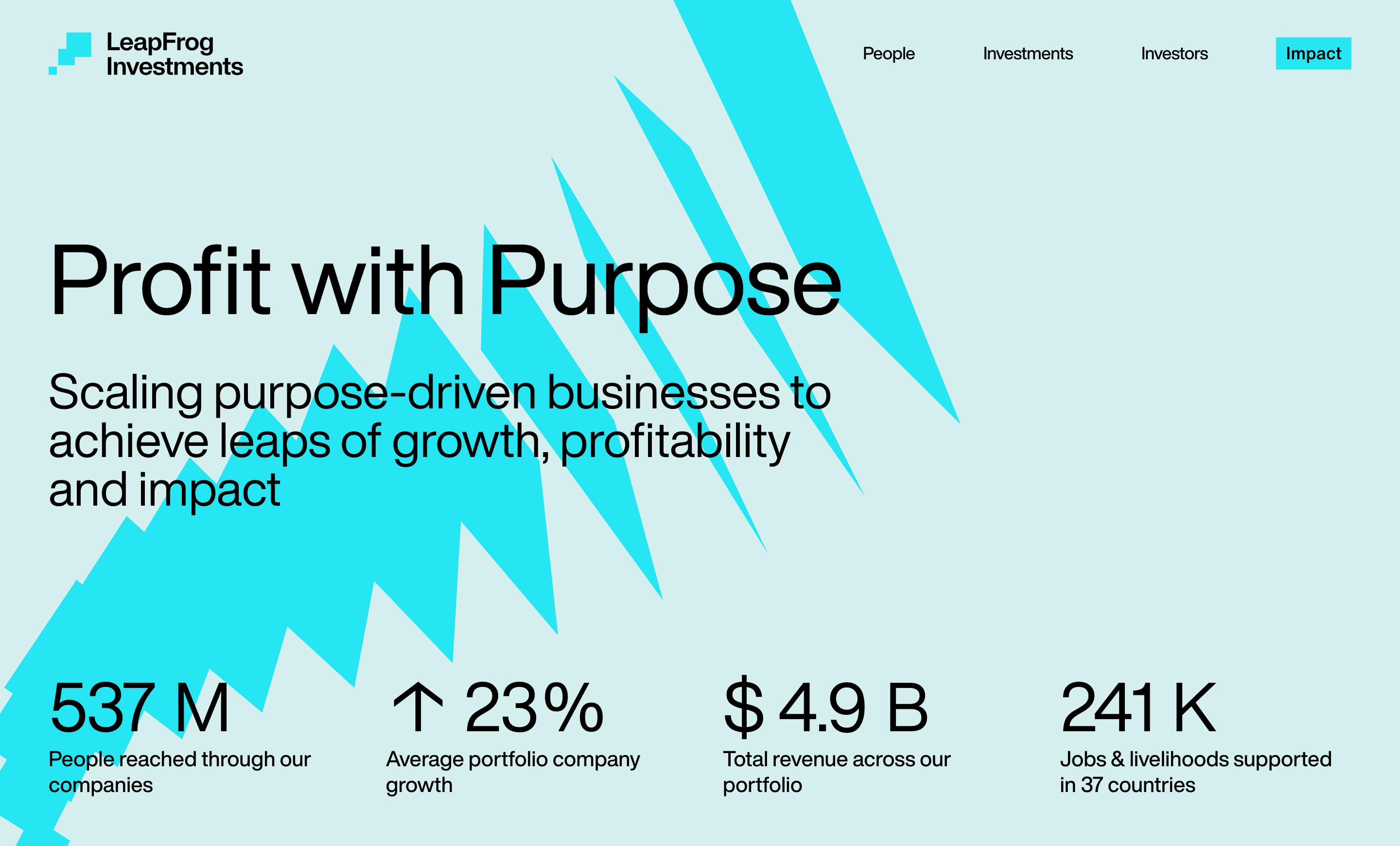 LeapFrog Investment landing page