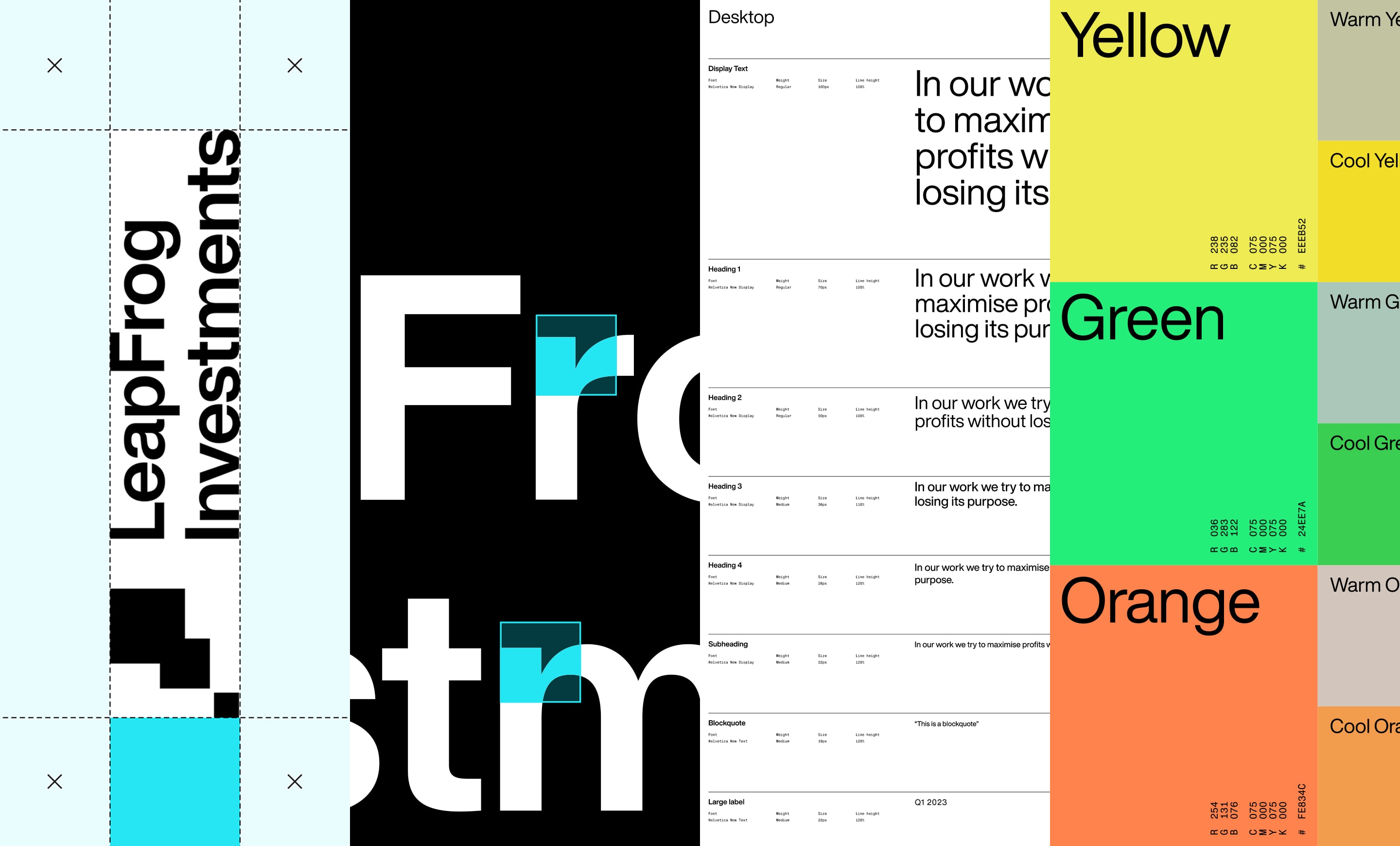 LeapFrog Investments Styleguide